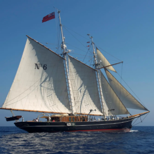 Nº. 6 TEXEL
