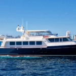 onelife-589zlwq3