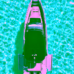 C4