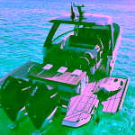 C5